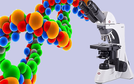 Corso di approfondimento di Chimica e Biologia